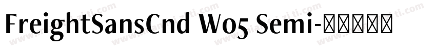 FreightSansCnd W05 Semi字体转换